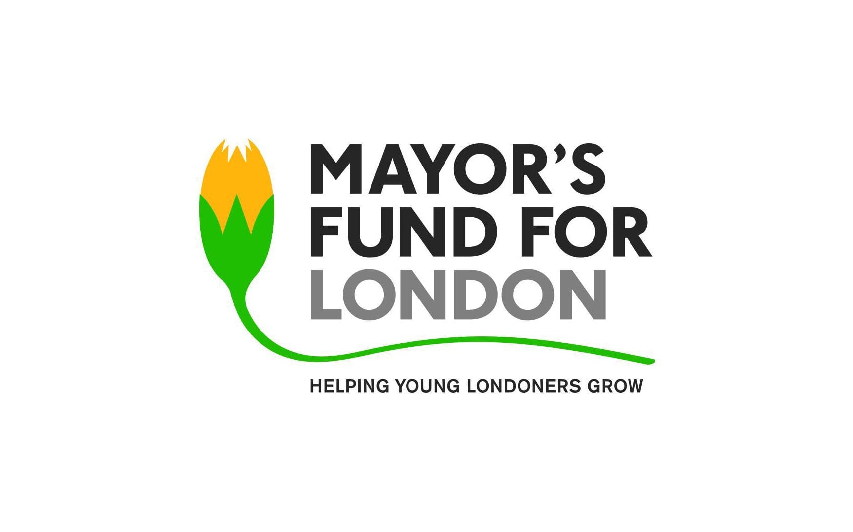 Young Londoners Fund